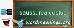 WordMeaning blackboard for saussurea costus